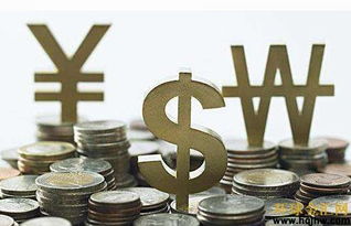 炒實(shí)盤(pán)與外匯咨詢 風(fēng)險(xiǎn)與機(jī)遇的博弈